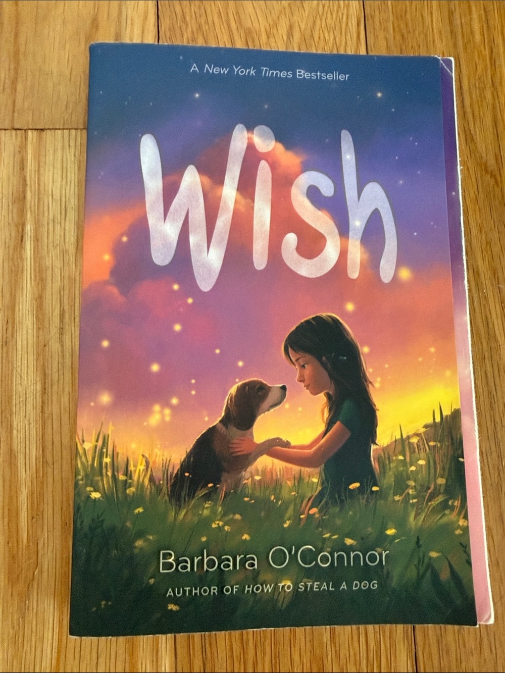 Wish by - Purple/Multicolor Cover